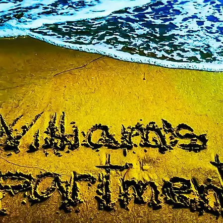 William's - Third Special * 스베티 블라스