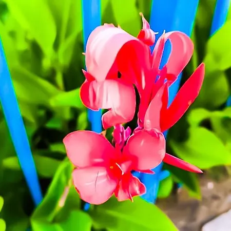 William's - Third Special 아파트 *