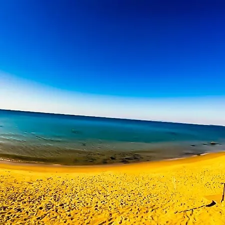 William's - Third Special * 스베티 블라스