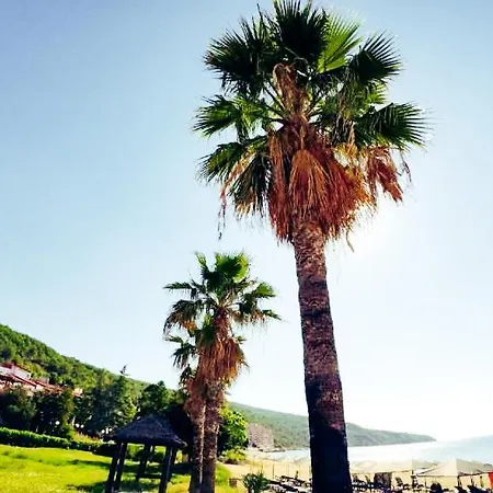 아파트 William's - Third Special *