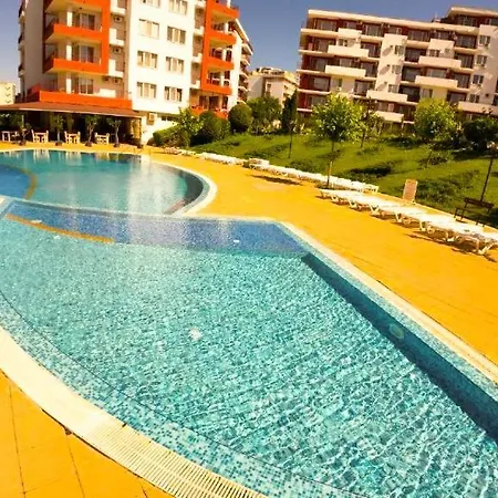 William's - Third Special 스베티 블라스