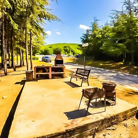 William's - Third Special 스베티 블라스