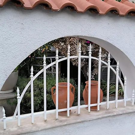 William's - Third Special Sveti Vlas