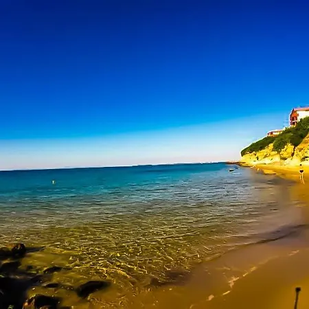 William's - Third Special Apartment