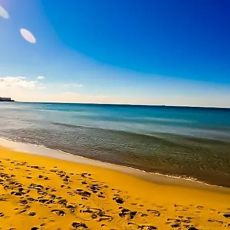 William's - Third Special * Sveti Vlas