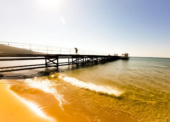 William's - Third Special Apartamento *