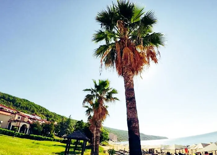 Apartamento William's - Third Special *